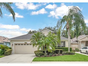 Charming single-story home featuring a manicured lawn and a two-car garage at 8044 Saint James Way, Mount Dora, FL 32757