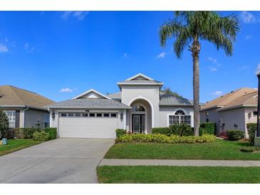 Charming single-story home featuring a two-car garage, well-manicured lawn and lovely landscaping at 8011 Saint James Way, Mount Dora, FL 32757