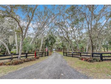 Long gravel driveway leading to property, flanked by mature trees and a black wooden fence at 255 Butterfly Forest Rd, Geneva, FL 32732