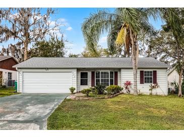 Charming single-story home featuring a well-manicured lawn, a palm tree, and a two car garage at 250 Douglas Dr, Eustis, FL 32726