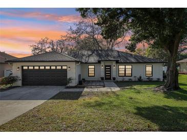 Charming single-story home featuring a well-maintained lawn, a two-car garage, and a modern front door at 2294 Lakeview Ave, Clermont, FL 34711