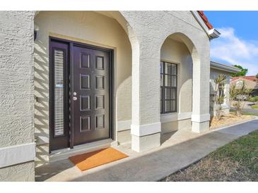 Inviting front door entrance featuring a sleek black door, textured walls, and an elegant archway at 1008 Birkdale Trl, Winter Springs, FL 32708