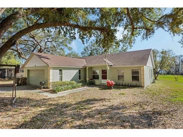 Charming single-story home with lush landscaping and inviting curb appeal nestled beneath a large, shady tree at 10320 Bumblebee Ln, Leesburg, FL 34788
