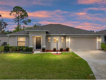 Charming single-story home with a well-manicured lawn, two car garage, and inviting front entrance at 1385 Evergreen Park Cir, Lakeland, FL 33813