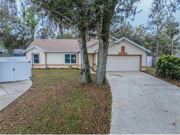 Charming single-story home with a two-car garage and well-maintained front yard at 1730 Country Terrace Ln, Apopka, FL 32703