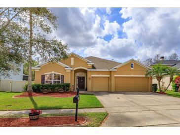 Charming single-story home with a well-manicured lawn, mature tree, and three-car garage at 3783 Moon Dancer Pl, St Cloud, FL 34772