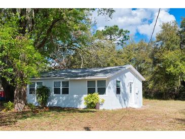 Charming single story home with mature trees, well-maintained lawn, and a fresh exterior paint at 4840 Transport Rd, Bartow, FL 33830