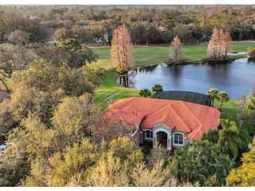 Stunning aerial view of a red-tiled roof home with a screened pool overlooking a tranquil lake and lush greenery at 3156 Winding Pine Trl, Longwood, FL 32779
