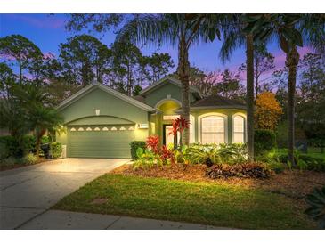 Charming one-story home with a well-manicured lawn and lush landscaping, creating inviting curb appeal at 10290 Cypress Vine Dr, Orlando, FL 32827