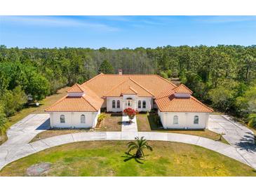 Sprawling estate with circular drive, mature landscaping, and distinct architecture at 6005 Bancroft Blvd, Orlando, FL 32833