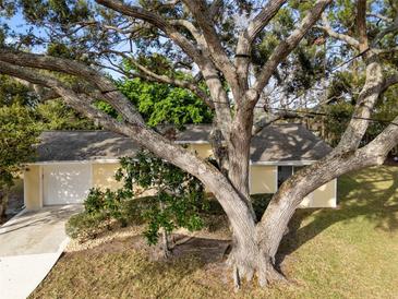 Charming home featuring a mature tree, well-manicured lawn, and a two-car garage at 4907 Lindsay Ct, Orlando, FL 32821