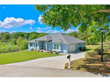 Charming blue single-story home features a well-manicured lawn and a picturesque, serene wooded backdrop at 10544 Parkway Dr, Clermont, FL 34711