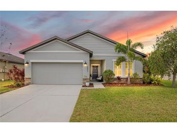Charming single-Gathering home featuring a manicured lawn, two-car garage, and lovely landscaping at 3807 Night Heron Dr, Sanford, FL 32773
