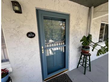 Charming condo front door with textured wall, plants, and a stylish blue screen door at 220 N Idlewood Ave # 203, Bartow, FL 33830