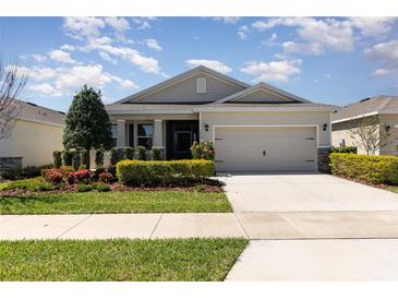 Charming single-story home with a well-manicured lawn, lush landscaping, and a two-car garage at 7838 Penrose Pl, Wildwood, FL 34785