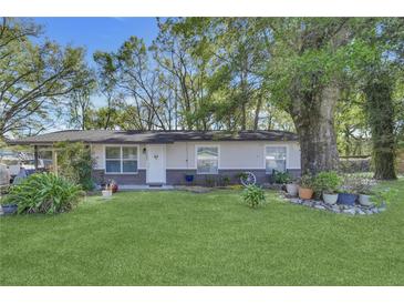 Charming single-story home with a well-maintained front yard and mature trees at 4482 Se 142Nd St, Summerfield, FL 34491