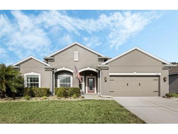 Charming single-story home with a well-manicured lawn, attached garage, and inviting front entrance at 3893 Wind Dancer Cir, St Cloud, FL 34772