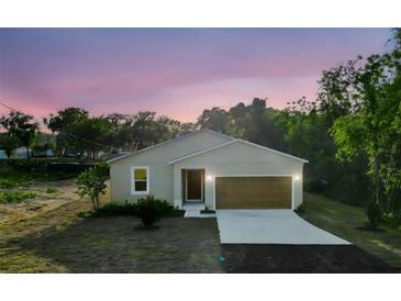 Charming single-Gathering home featuring a well-manicured lawn and a two-car garage at 170 Blaine St, Eustis, FL 32726
