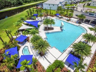 An aerial view of the community pool, featuring lounge chairs, palm trees and blue umbrellas at 2618 Calistoga Ave, Kissimmee, FL 34741