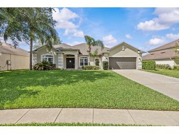 Charming single-story home features a manicured lawn, mature landscaping and two car garage at 235 Largovista Dr, Oakland, FL 34787
