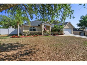 Well-maintained one story home with a two car garage, healthy lawn, and decorative landscaping at 149 Southern Breeze Dr, Minneola, FL 34715