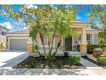 Charming home featuring a well-manicured lawn, complemented by three palm trees and a classic gray facade at 8555 Abbotsbury Dr, Windermere, FL 34786