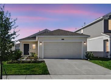 Charming single-Gathering home featuring a two-car garage, complemented by a well-maintained lawn and landscape at 4224 Pebbles Throw Dr, Kissimmee, FL 34746