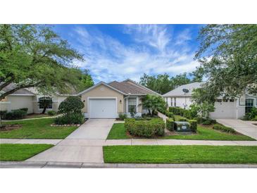 Charming single-story home featuring a well-manicured lawn and a two-car garage at 3018 Andover Ct, Mount Dora, FL 32757