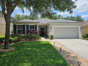 Charming single-story home with a well-manicured lawn, blue shutters, and attached two-car garage at 4793 Grassy Knoll Dr, Tavares, FL 32778