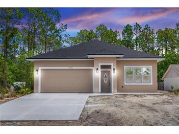 Charming single-story home with a two-car garage, manicured lawn, and a classic roof design at 2065 East Pkwy, Deland, FL 32724