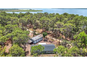 Aerial view of the property showcasing the house, outbuildings, and surrounding trees at 7374 Circle Dr, Lady Lake, FL 32159