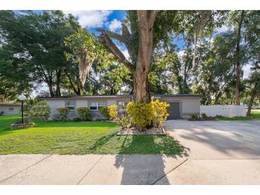 Traditional gray home with large tree in front yard at 3049 Condel Drive, Orlando, FL 32812