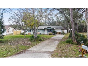 Charming single-story home with a well-maintained lawn and long driveway at 35724 Dawn Dr, Leesburg, FL 34788
