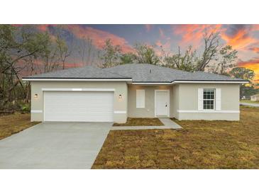 Charming single-story home featuring a gray roof, neutral siding, a two-car garage, and manicured landscaping at 2807 Sw 161St Loop, Ocala, FL 34473