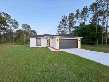 Well-maintained single-story home with a modern design, gray garage door, and green lawn at 14 Fir Trail Way, Ocala, FL 34472