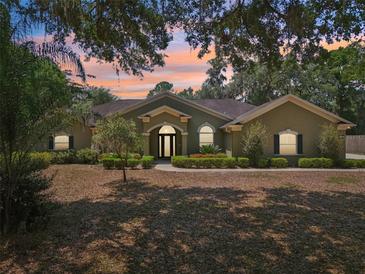 Inviting single-story home featuring manicured landscaping, mature trees, and a stately facade at sunset at 6686 Se 135Th St, Summerfield, FL 34491