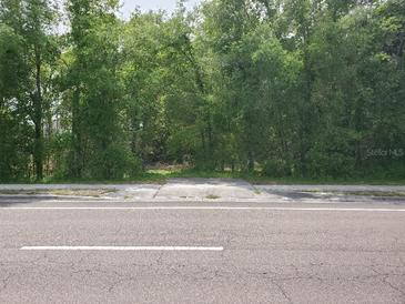 Street view of land showing concrete slab entry surrounded by lush trees and green shrubbery at 111 Beasley Rd, Oviedo, FL 32765