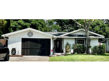 Charming single-story home with well-maintained lawn, decorative front door, and inviting curb appeal at 1203 Monterey Dr, Eustis, FL 32726