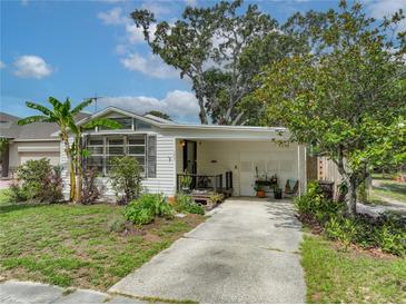 Charming home exterior showcasing a well-maintained yard and inviting curb appeal with mature landscaping at 171 Stanley Bell Dr, Mount Dora, FL 32757