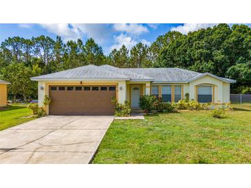 Charming single-story home featuring a well-maintained lawn and an attached two-car garage at 313 Greenwich Ct, Kissimmee, FL 34758