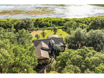 Aerial view of a house surrounded by lush greenery, showcasing its serene lakeside setting at 40137 County Road 452, Leesburg, FL 34788