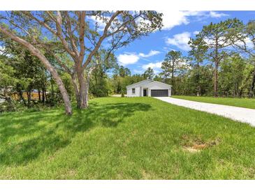 Charming single-story home with a well-manicured lawn and long driveway at 13101 Sw 85 Pl, Dunnellon, FL 34432