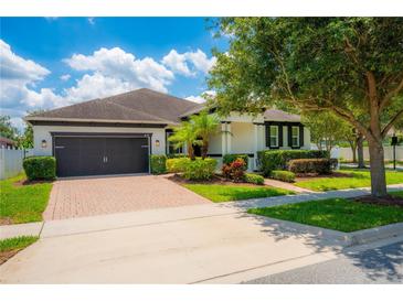 Charming single-story home with a well-maintained lawn, landscape, and paved driveway at 8137 Pond Apple Dr, Winter Garden, FL 34787