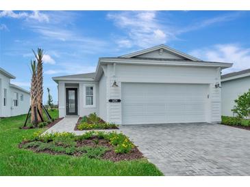 Charming single-story home features a well-manicured lawn, paved driveway, and attached two-car garage at 1459 Santorini Way, Tavares, FL 32778
