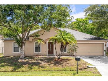 Charming single-story home with a well-maintained yard and mature trees at 778 Del Prado Dr, Kissimmee, FL 34758