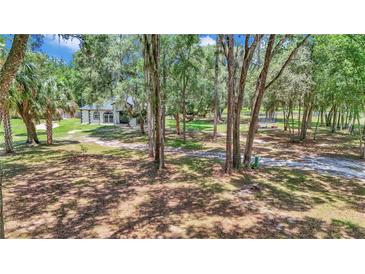 A home exterior is partially visible behind large trees on a grass-covered lot at 16758 Ne 135Th Ave, Fort Mc Coy, FL 32134