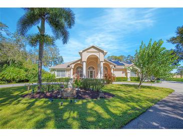 Charming single Gathering home with lush landscaping, mature trees, and a welcoming front entrance under a sunny blue sky at 4735 Chelsea Ct, Kissimmee, FL 34744