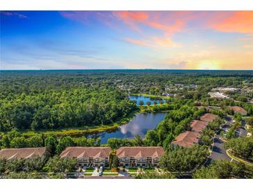 Scenic aerial view of townhomes nestled among lush greenery and a serene lake at sunset at 1757 Sunset Palm Dr, Apopka, FL 32712