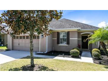 Charming single-story home featuring a well-manicured lawn, a two-car garage, and lovely landscaping at 30245 Cheval St, Mount Dora, FL 32757
