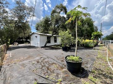 Charming backyard featuring a quaint home, lush greenery, and a variety of potted plants at 40431 Country Rd, Eustis, FL 32736